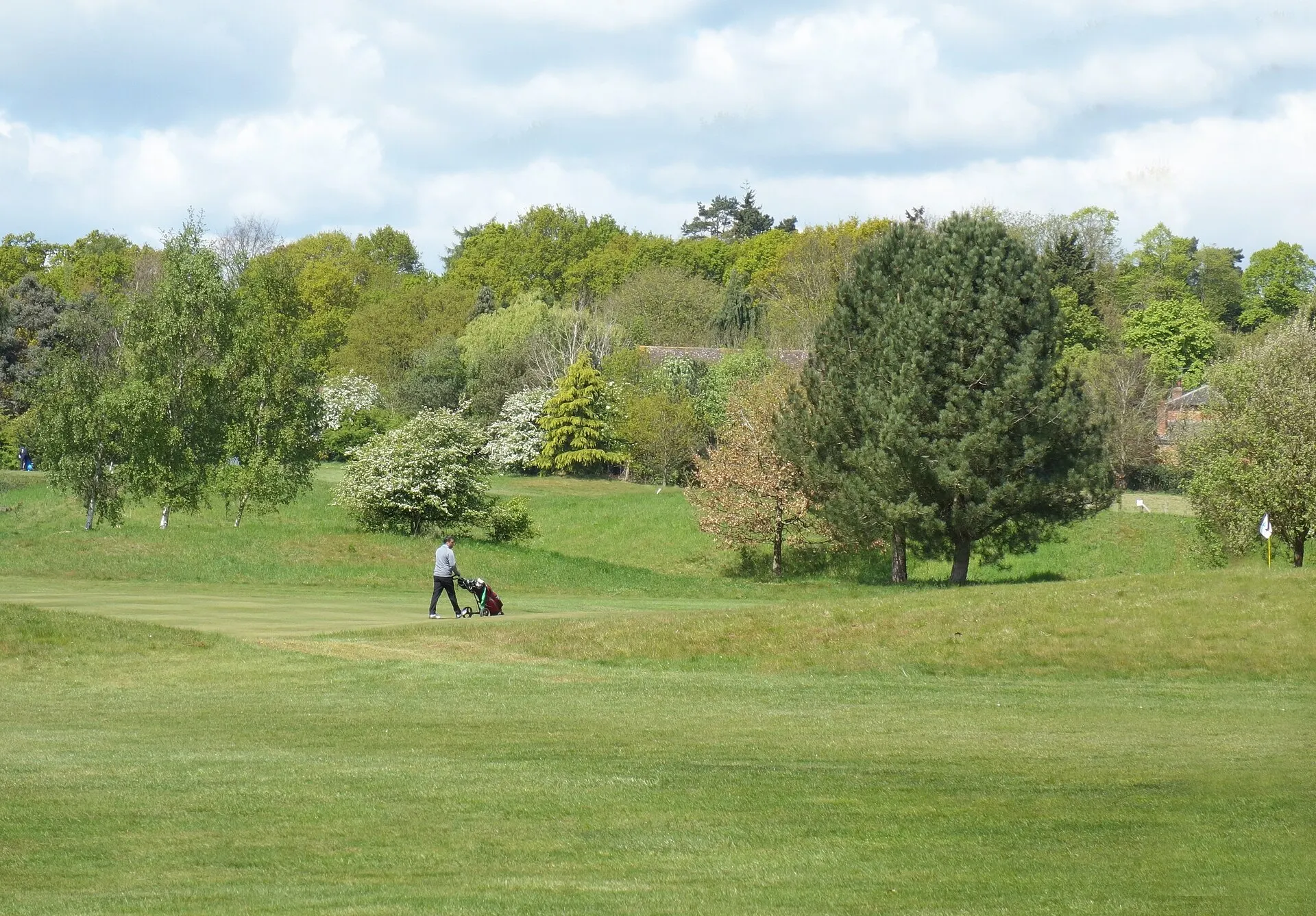 Golfer crossing a green within Castle Royle Golf Club in April 2017