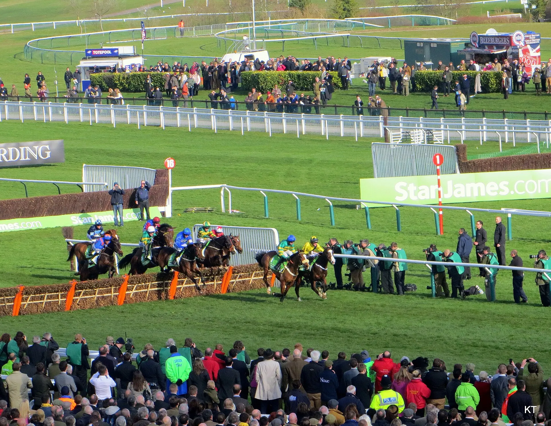 Horses racing over a hurdle at Cheltenham Festival