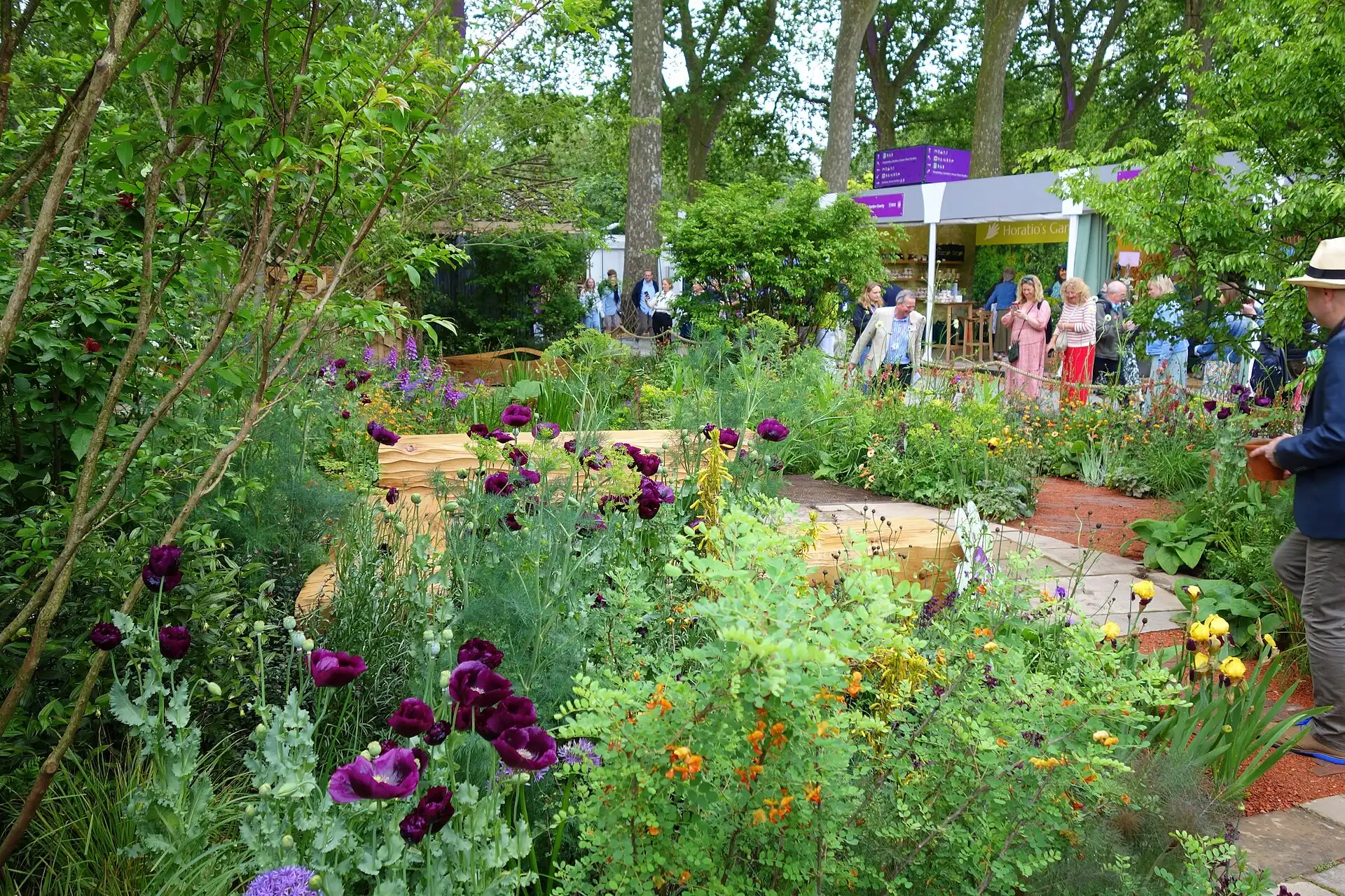 Octavia Hill Garden at the 2024 RHS Chelsea Flower Show