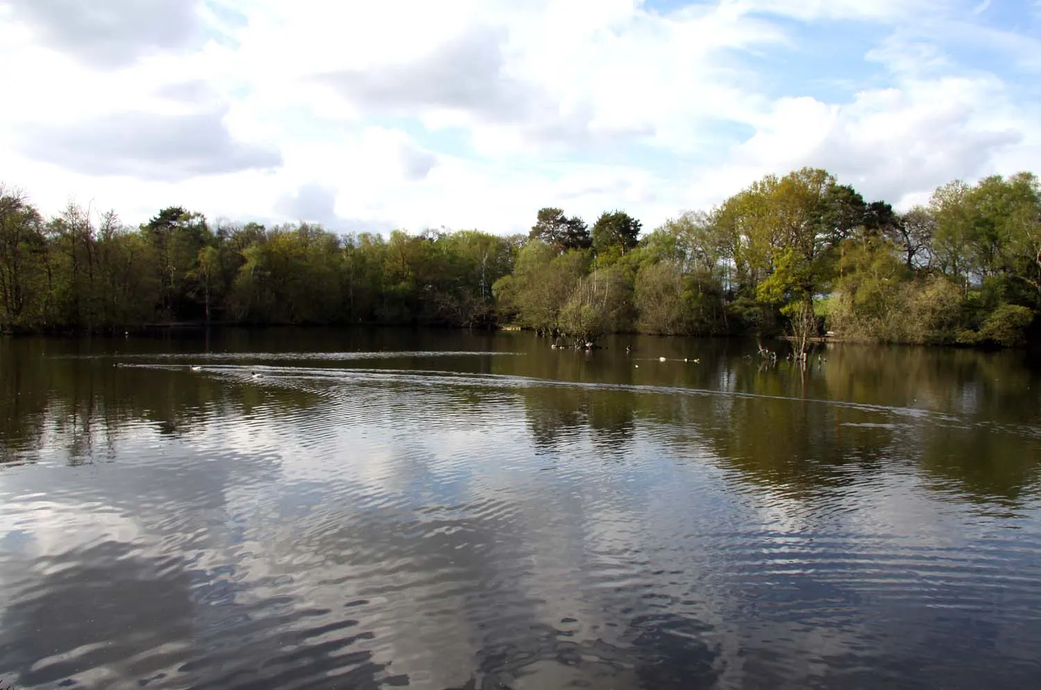 Longmoor Lake at California Country Park in Finchampstead in May 2012