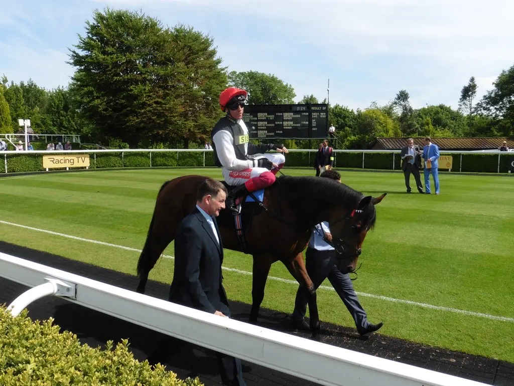 Horse and rider in the Goodwood parade ring