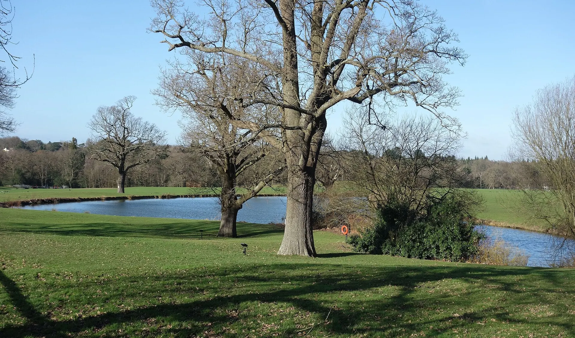 Lake and woodland within the Coworth Park estate in 2020