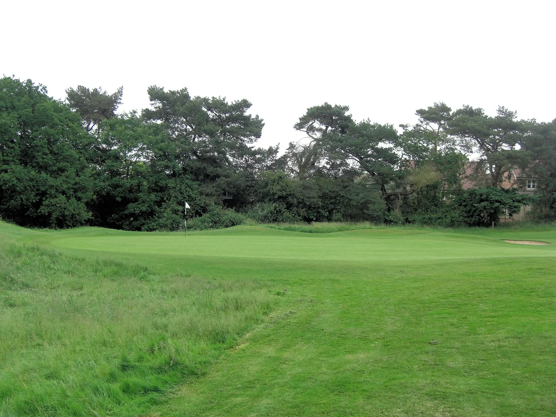 Sonning Golf Course sixth green beside mature trees in June 2012
