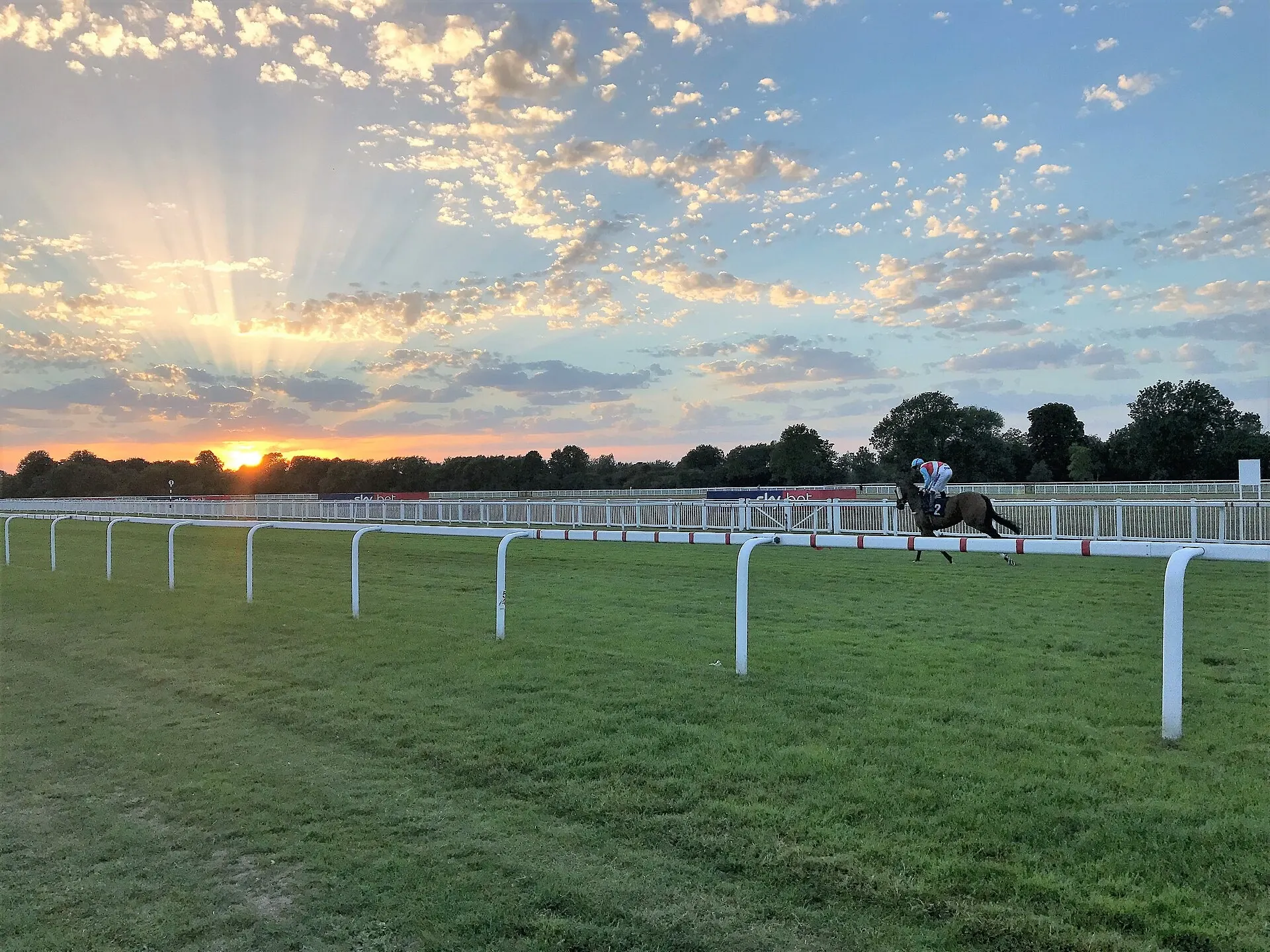 Evening light over the track at Royal Windsor Racecourse