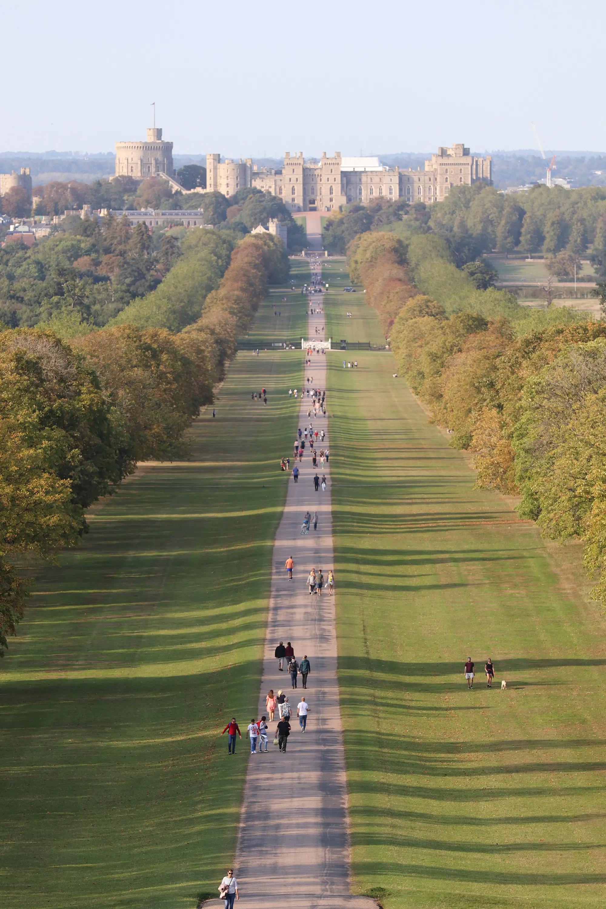The Long Walk through Windsor Great Park